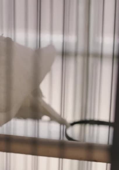 S01:E07 - Empty Nesters poster