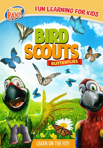 Bird Scouts: Butterflies