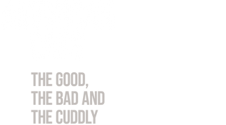 American Cats: The Good, the Bad and the Cuddly