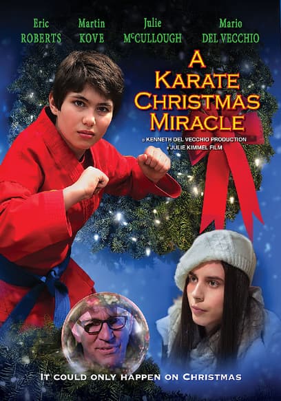 A Karate Christmas Miracle