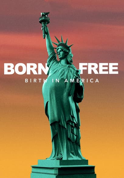 Born Free: Birth in America