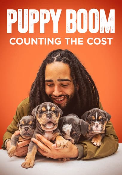 Puppy Boom: Counting the Cost