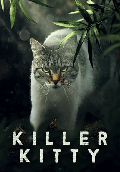 Killer Kitty