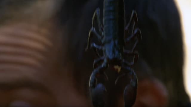 S01:E04 - Schooled by a Girl Scout