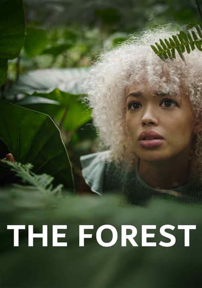 The Forest
