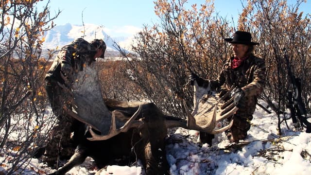 S13:E07 - Exploring the Yukon Wildlands