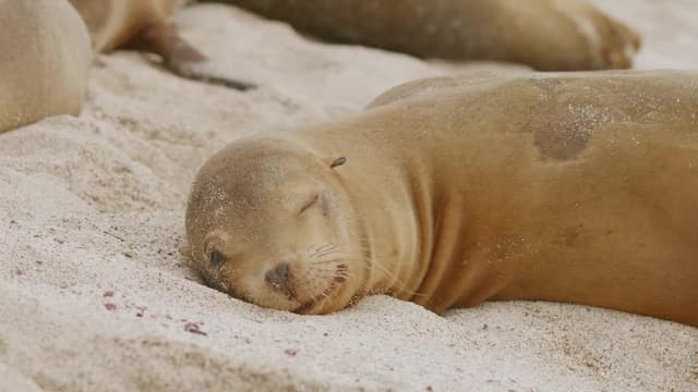 S01:E03 - The Hidden Paradise