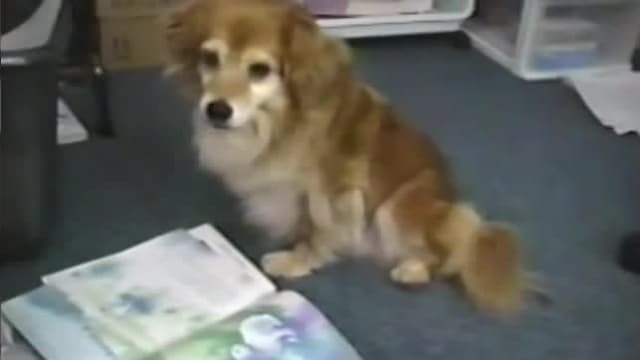 S01:E14 - Episode 14