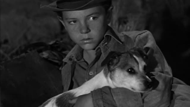 S02:E01 - Montana Kid