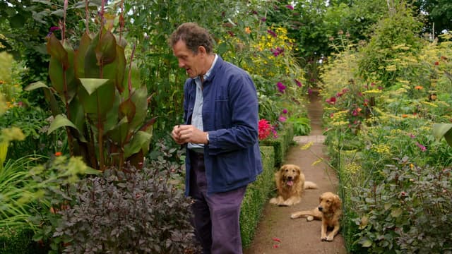 S08:E17 - Episode 17