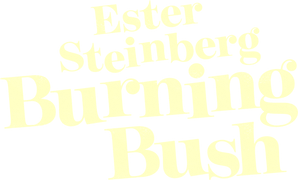 Ester Steinberg: Burning Bush