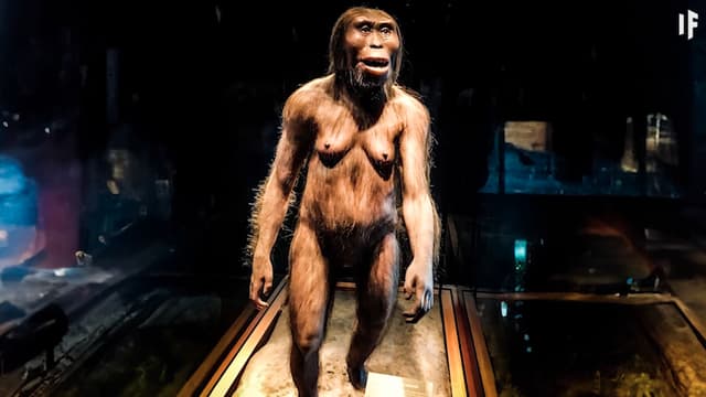 S01:E15 - Evolution of Humans in 20 Minutes