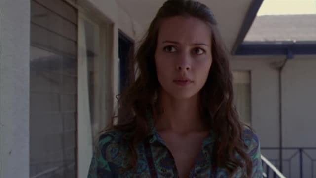 S04:E19 - The Magic Bullet