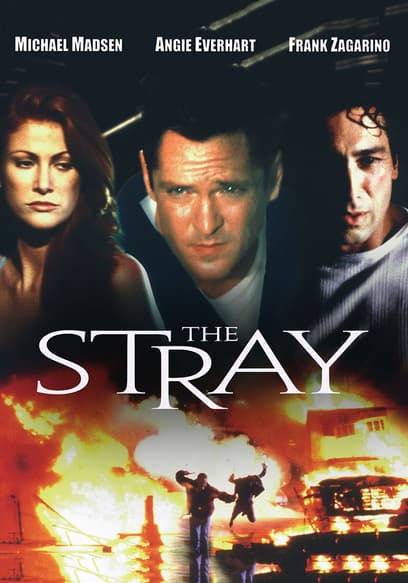 The Stray