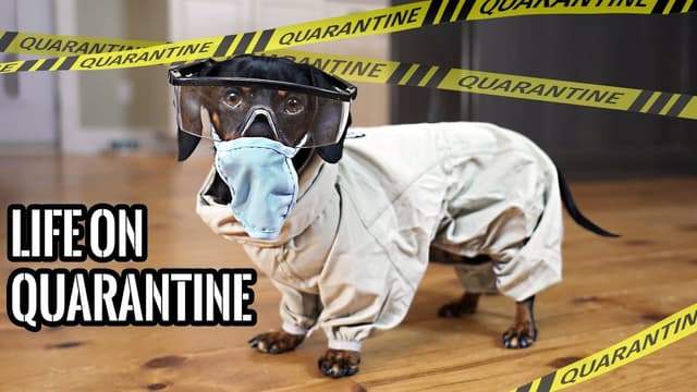 S01:E12 - Quarantine Life (Pts. 1-3)