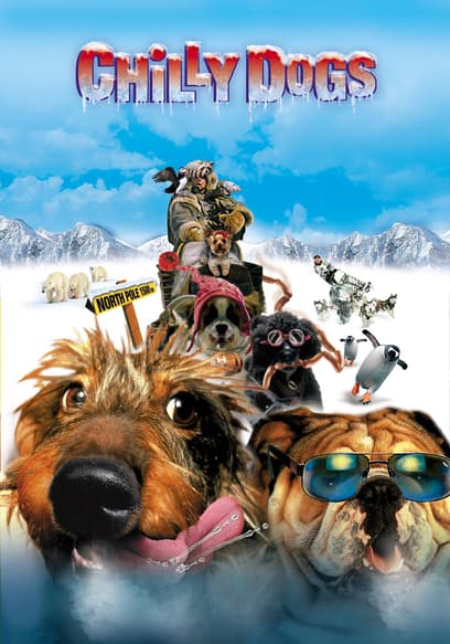 Chilly Dogs