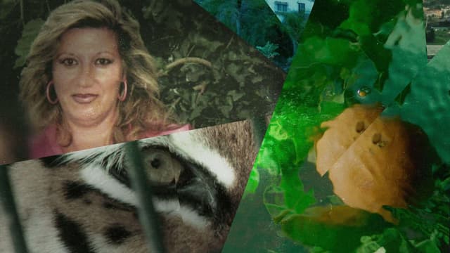 S01:E01 - Proteger La Naturaleza