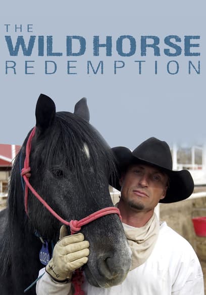 The Wild Horse Redemption