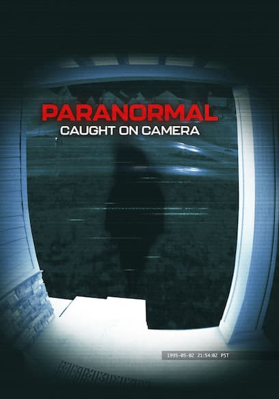 S03:E13 - Ghost Kitty and More