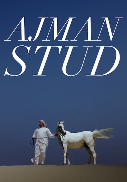 Ajman Stud poster