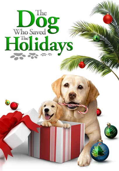 The Dog Who Saved the Holidays