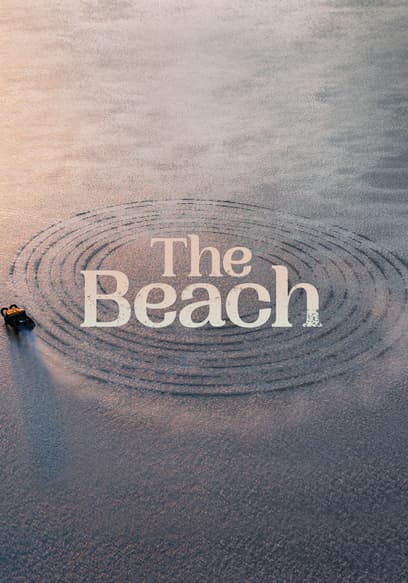 The Beach