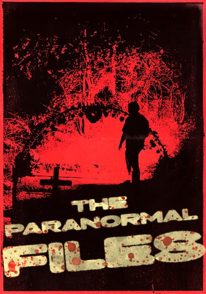The Paranormal Files