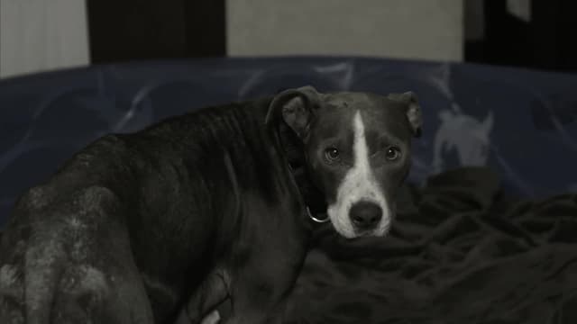 S09:E04 - Down Below