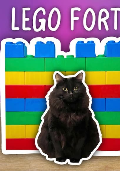 S01:E04 - I Built 10 Incredible Cat Forts! + I Attempted Extreme LEGO Challenges! poster