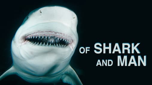 Shark Frenzy Free Shark Movies On Amazon Prime Shark Frenzy Shark