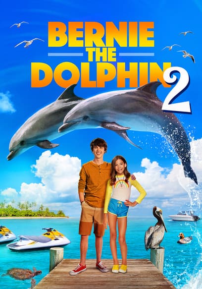 Bernie the Dolphin 2 poster