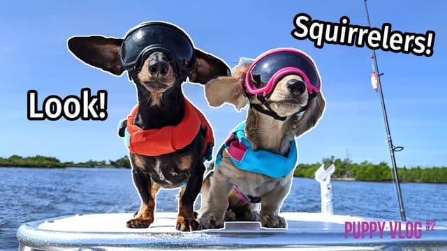 S01:E19 - Florida Fun and Ottawa Tourists