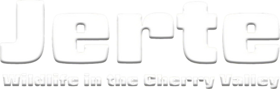 Jerte, Wildlife in the Cherry Valley