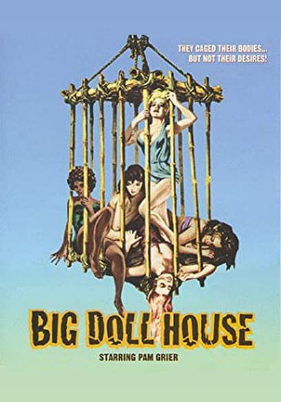 Big Doll House