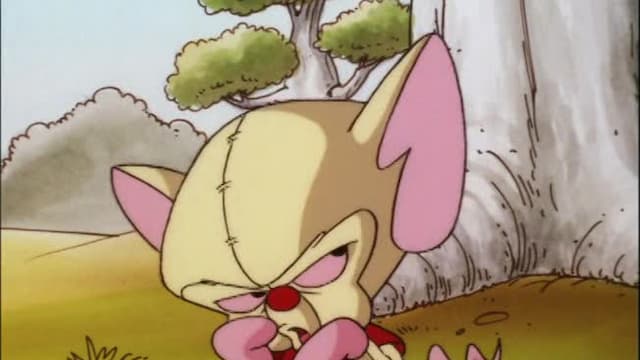 S03:E25 - Brainie the Pooh / Melancholy Brain