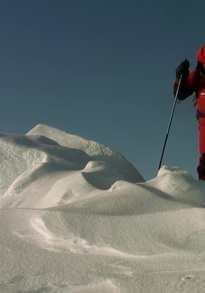 S01:E05 - Svalbard, Arctic poster