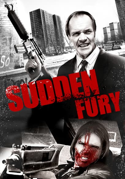 Sudden Fury