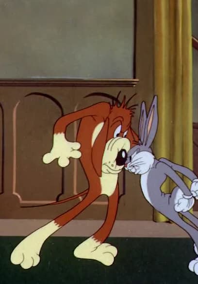 S09:E17 - Hare Force / Stage Door Cartoon / The Stupid Cupid poster