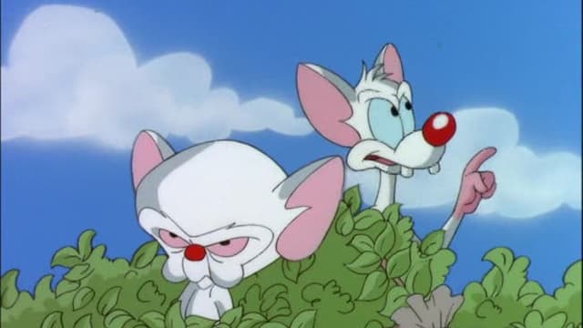 S03:E06 - All You Need Is Narf / Pinky's Plan