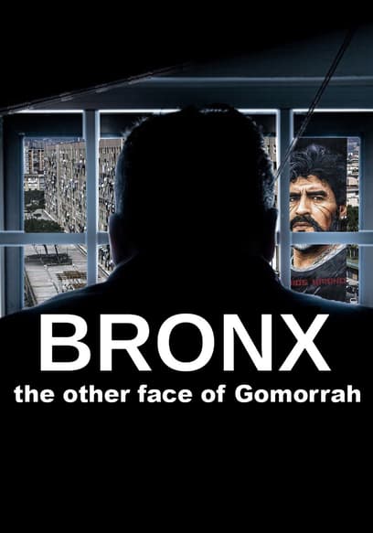 Bronx: The Other Face of Gomorrah