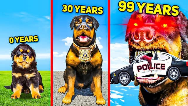 S05:E19 - Surviving and Shapeshifting