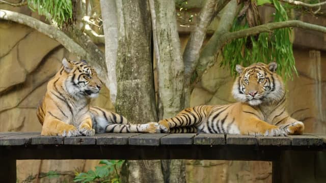 S03:E01 - Australia Zoo Begins Again