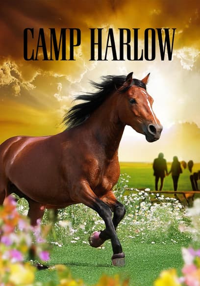 Camp Harlow