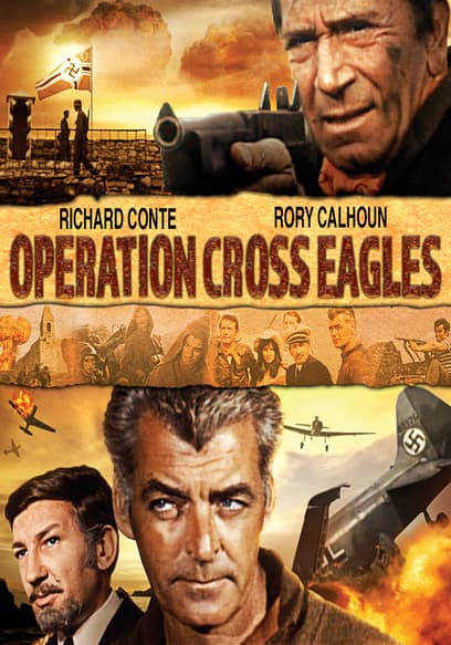 Operation Cross Eagles