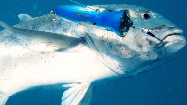 S01:E06 - Fishing Through the Storm: Great Barrier Reef
