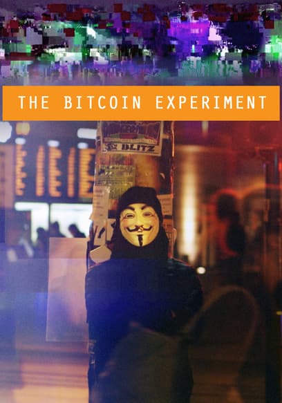 The Bitcoin Experiment