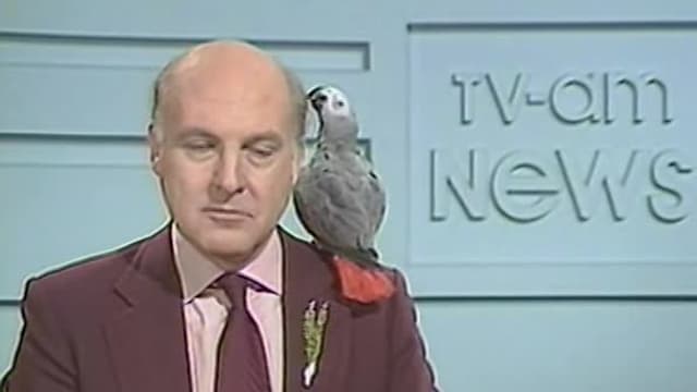 S01:E19 - Episode 19