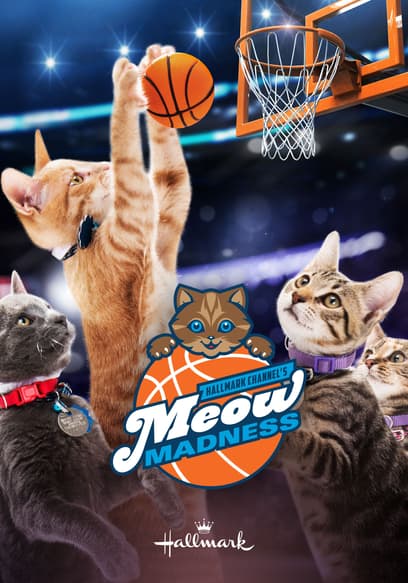 Meow Madness