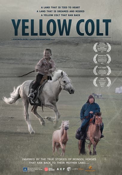 Mongolian Invasion: Yellow Colt