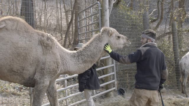 S01:E07 - Brrring on the Winter